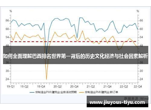 如何全面理解巴西排名世界第一背后的历史文化经济与社会因素解析